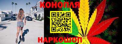 прущие грибы Жуковский