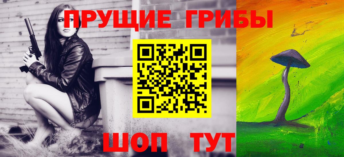 Псилоцибиновые грибы GOLDEN TEACHER  где найти наркотики  Лениногорск  Вход с VPN 